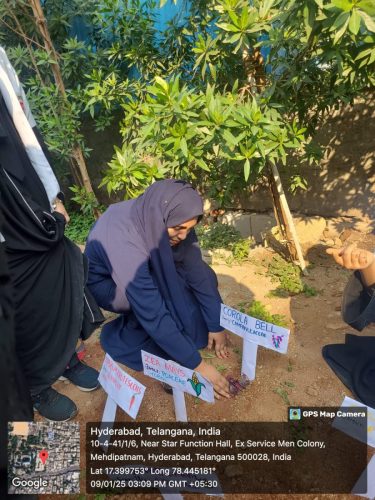 VanaMahautsav 2K25 (1)