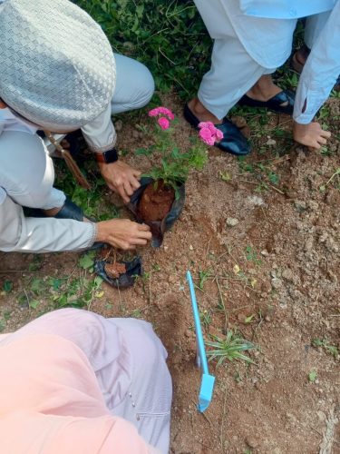 VanaMahautsav 2K25 (4)